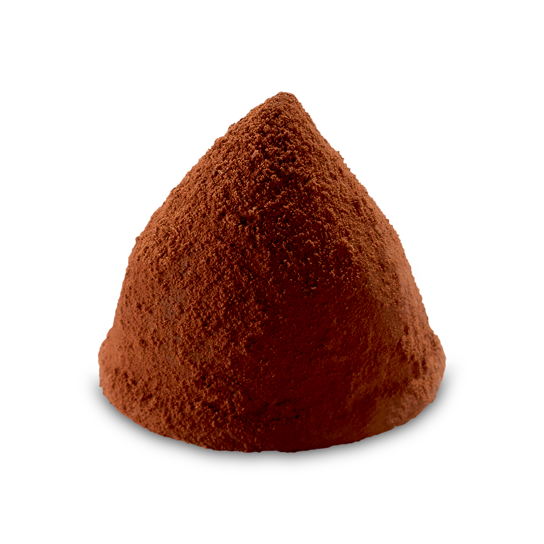 Truffle Noire