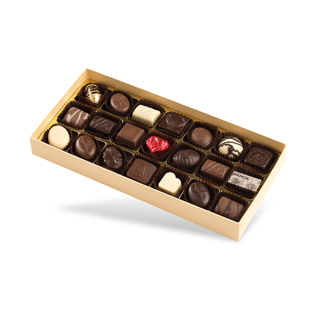 Transparent Grande Open