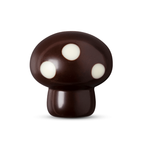 Mushroom Chocolate Mousse