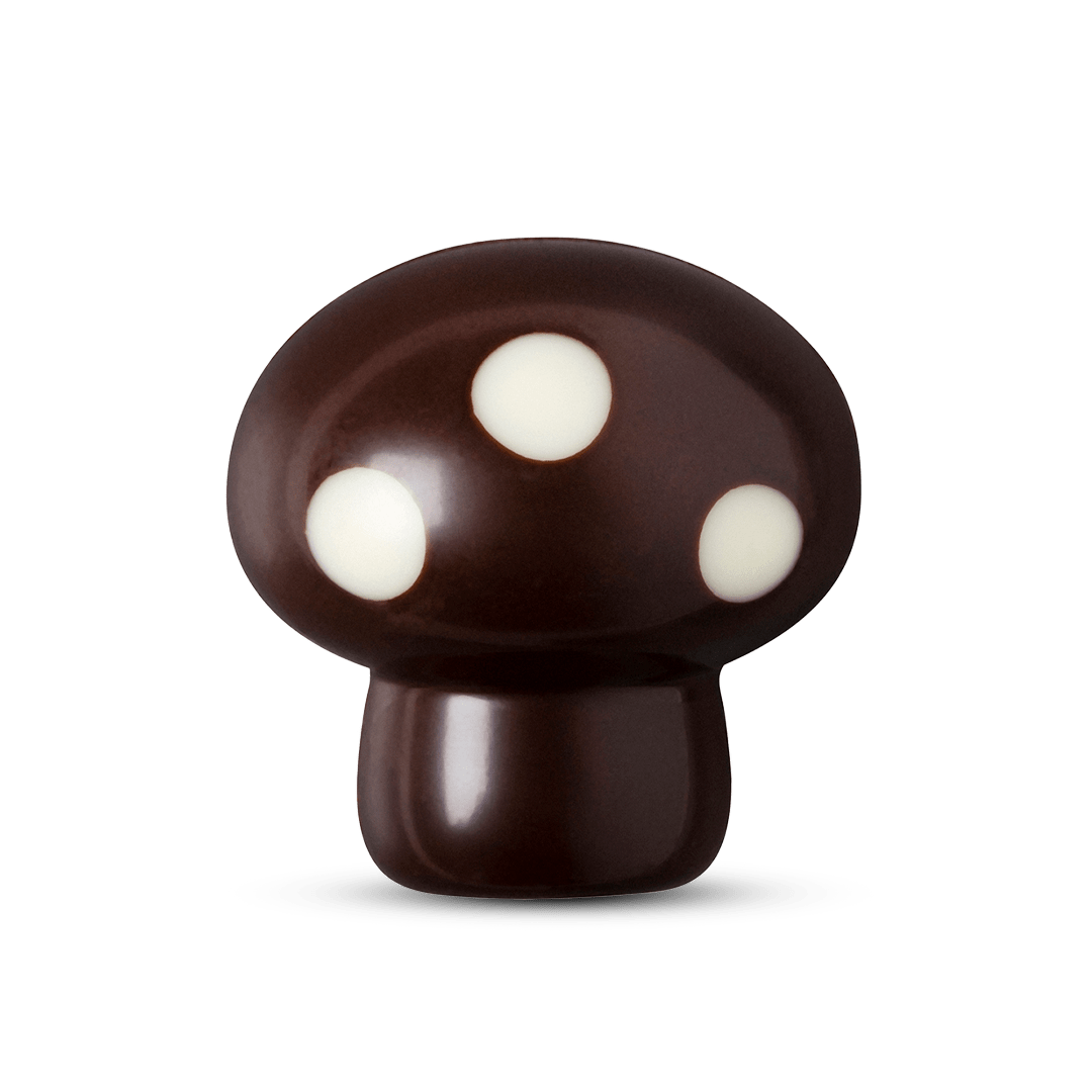 Mushroom Chocolate Mousse