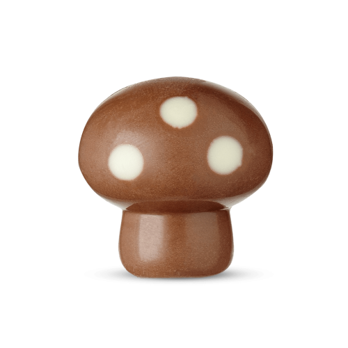 Mushroom Caramel Hazelnuts